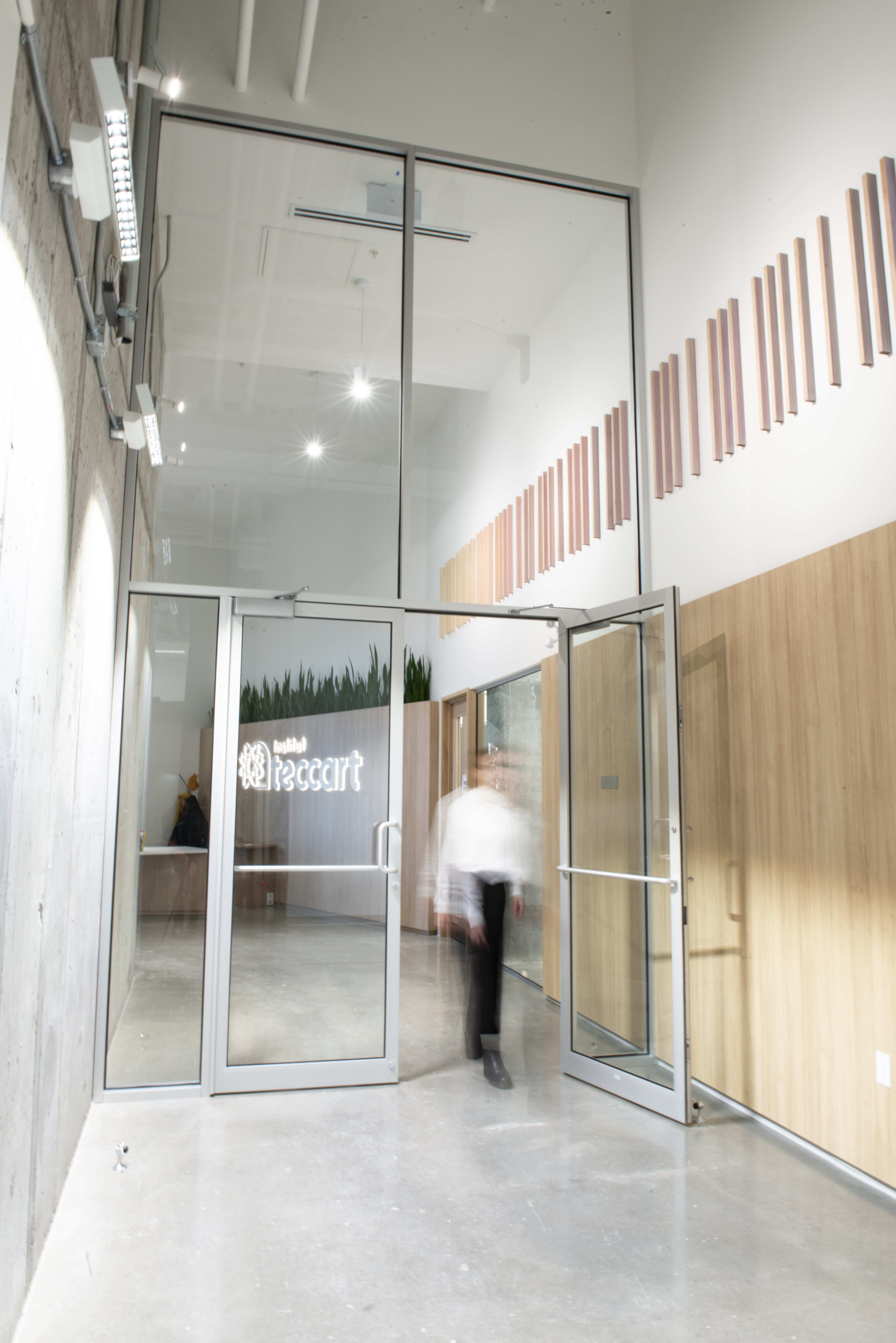 Institut teccart.jpg